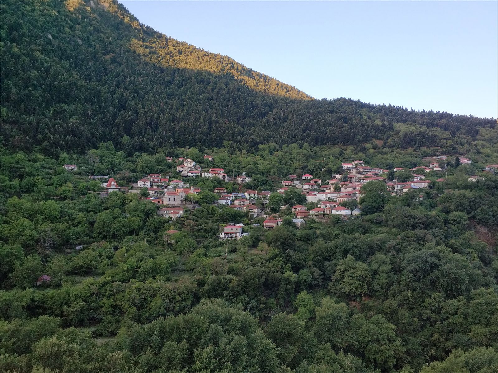 Το Στένωμα μέσα στο ελατόδασος, με τις πλαγιές του Βελουχιού από πίσω